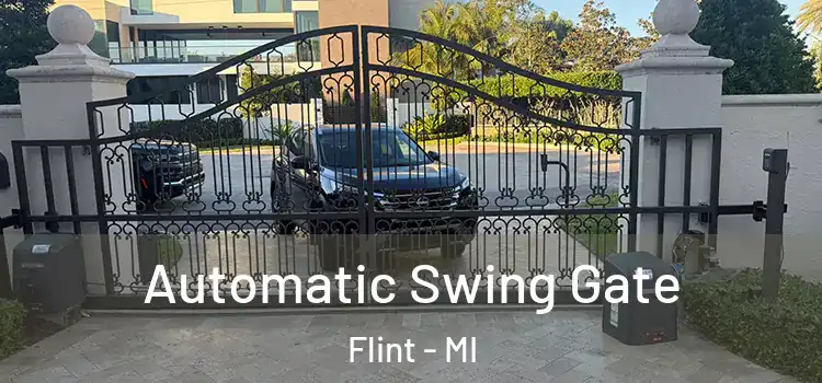 Automatic Swing Gate Flint - MI