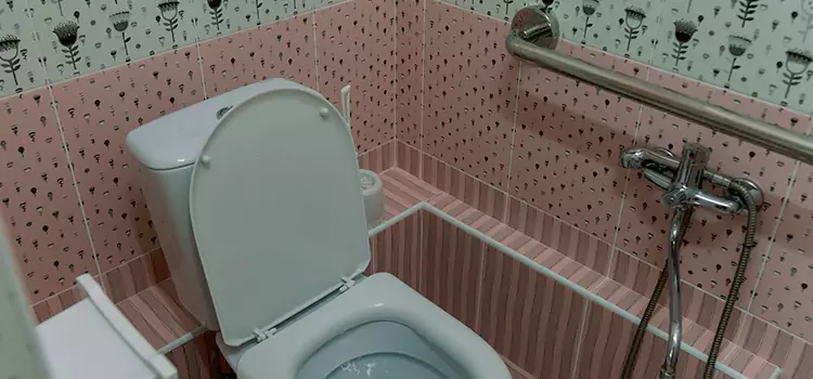 Meeting Diverse Needs With Accessible Restroom Solutions in Flint, MI